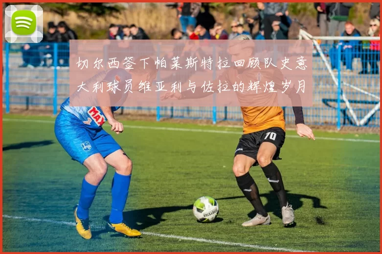 切尔西签下帕莱斯特拉回顾队史意大利球员维亚利与佐拉的辉煌岁月