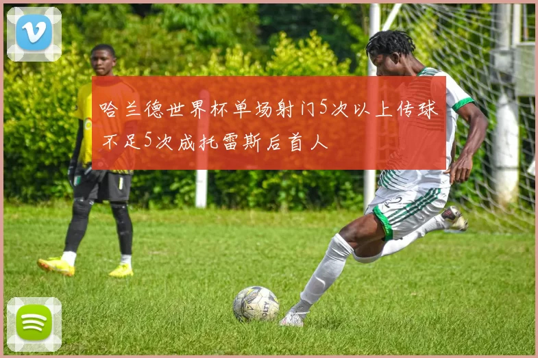哈兰德世界杯单场射门5次以上传球不足5次成托雷斯后首人