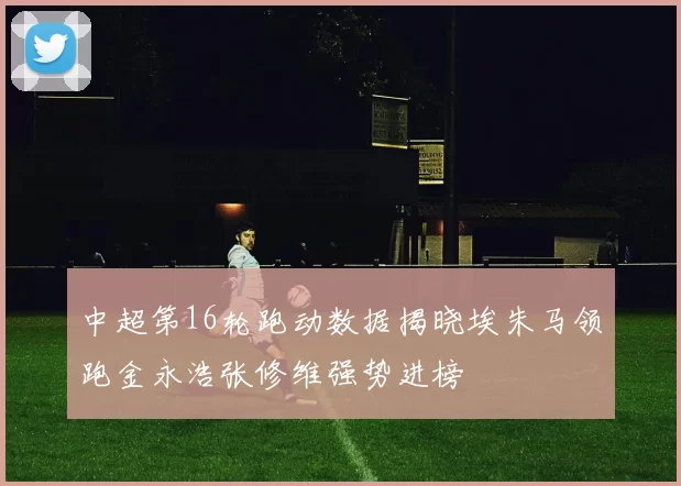 中超第16轮跑动数据揭晓埃朱马领跑金永浩张修维强势进榜